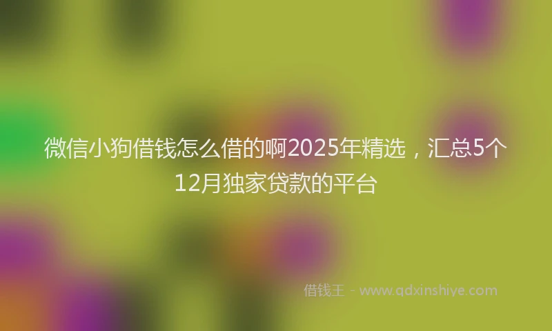 微信小狗借钱怎么借的啊2025年精选，汇总5个12月独家贷款的平台