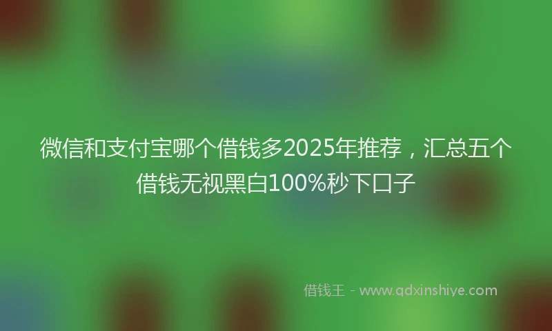 微信和支付宝哪个借钱多2025年推荐，汇总五个借钱无视黑白100%秒下口子