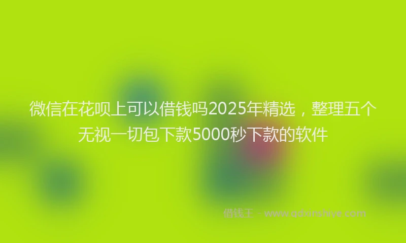微信在花呗上可以借钱吗2025年精选，整理五个无视一切包下款5000秒下款的软件