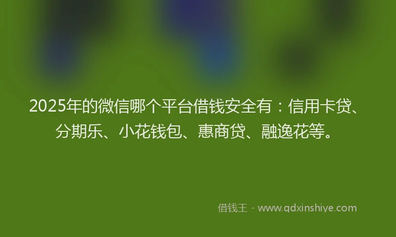 2025年的微信哪个平台借钱安全有：信用卡贷、分期乐、小花钱包、惠商贷、融逸花等。