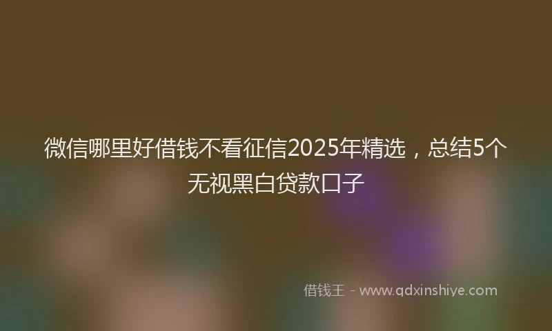 微信哪里好借钱不看征信2025年精选，总结5个无视黑白贷款口子