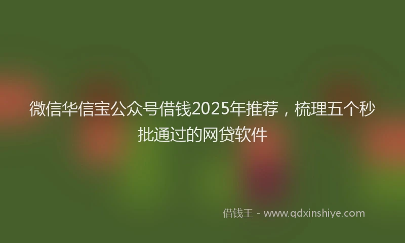 微信华信宝公众号借钱2025年推荐，梳理五个秒批通过的网贷软件