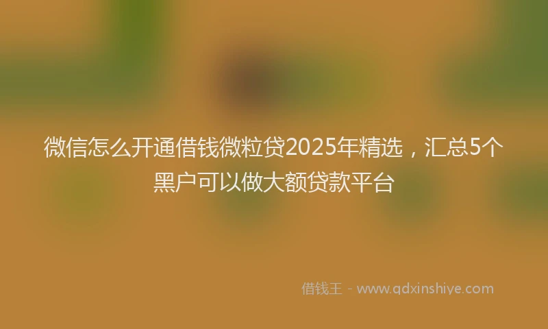 微信怎么开通借钱微粒贷2025年精选，汇总5个黑户可以做大额贷款平台