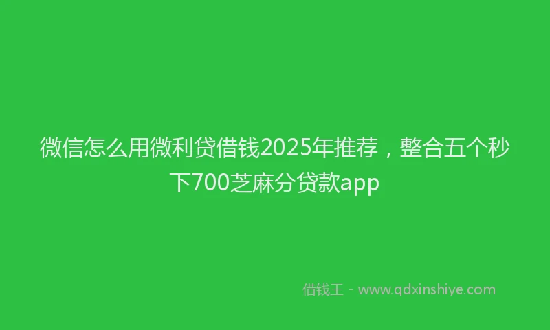 微信怎么用微利贷借钱2025年推荐，整合五个秒下700芝麻分贷款app