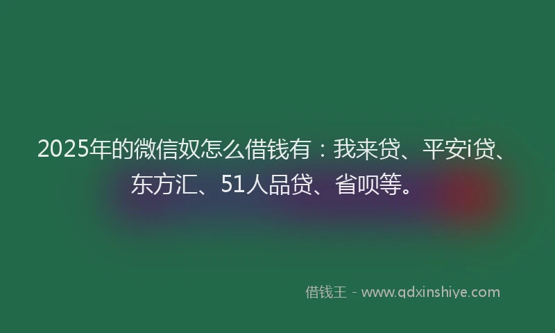 2025年的微信奴怎么借钱有：我来贷、平安i贷、东方汇、51人品贷、省呗等。