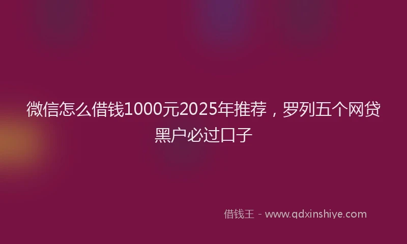 微信怎么借钱1000元2025年推荐，罗列五个网贷黑户必过口子
