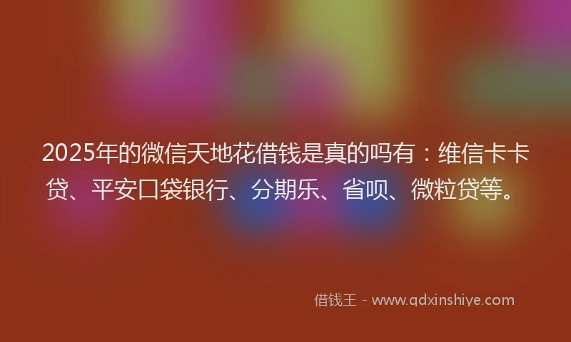2025年的微信天地花借钱是真的吗有：维信卡卡贷、平安口袋银行、分期乐、省呗、微粒贷等。
