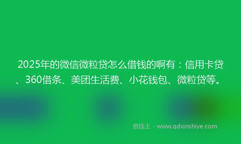 2025年的微信微粒贷怎么借钱的啊有：信用卡贷、360借条、美团生活费、小花钱包、微粒贷等。