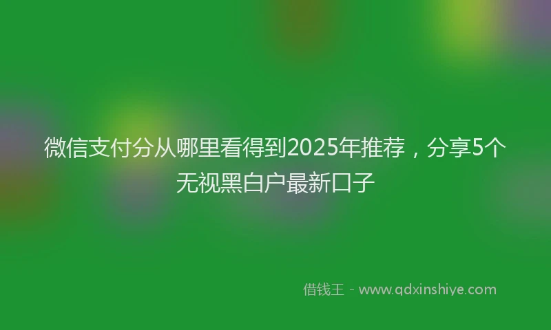 微信支付分从哪里看得到2025年推荐，分享5个无视黑白户最新口子