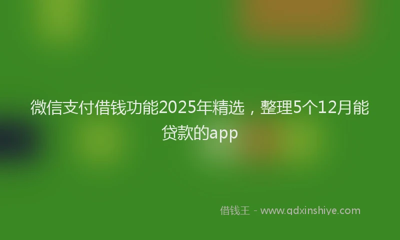 微信支付借钱功能2025年精选，整理5个12月能贷款的app