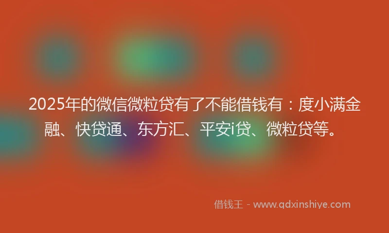 2025年的微信微粒贷有了不能借钱有：度小满金融、快贷通、东方汇、平安i贷、微粒贷等。