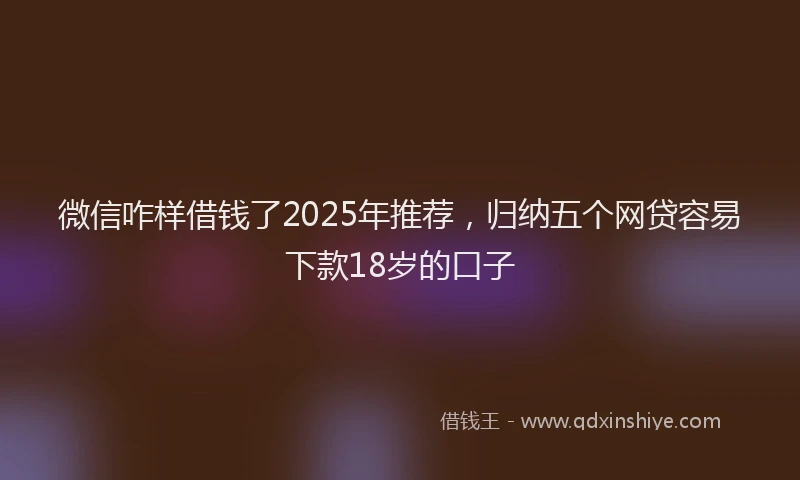 微信咋样借钱了2025年推荐，归纳五个网贷容易下款18岁的口子