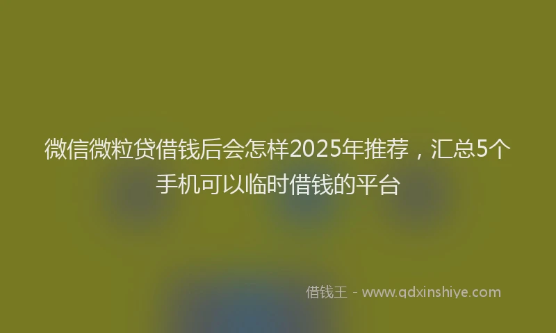 微信微粒贷借钱后会怎样2025年推荐，汇总5个手机可以临时借钱的平台