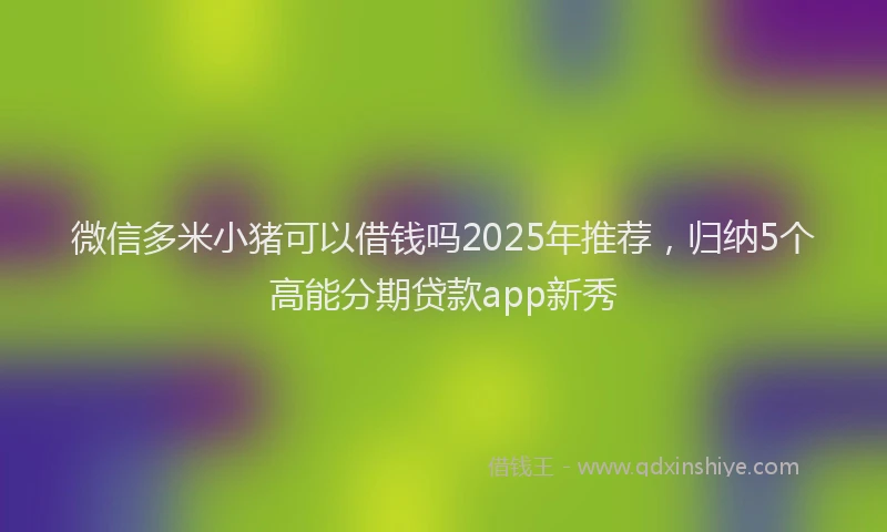 微信多米小猪可以借钱吗2025年推荐,归纳5个高能分期贷款app新秀