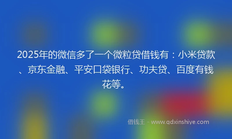 2025年的微信多了一个微粒贷借钱有：小米贷款、京东金融、平安口袋银行、功夫贷、百度有钱花等。