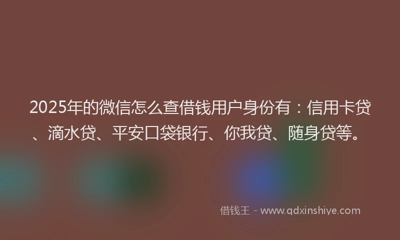 2025年的微信怎么查借钱用户身份有：信用卡贷、滴水贷、平安口袋银行、你我贷、随身贷等。