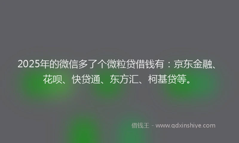 2025年的微信多了个微粒贷借钱有：京东金融、花呗、快贷通、东方汇、柯基贷等。