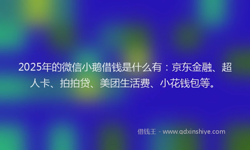 2025年的微信小鹅借钱是什么有：京东金融、超人卡、拍拍贷、美团生活费、小花钱包等。