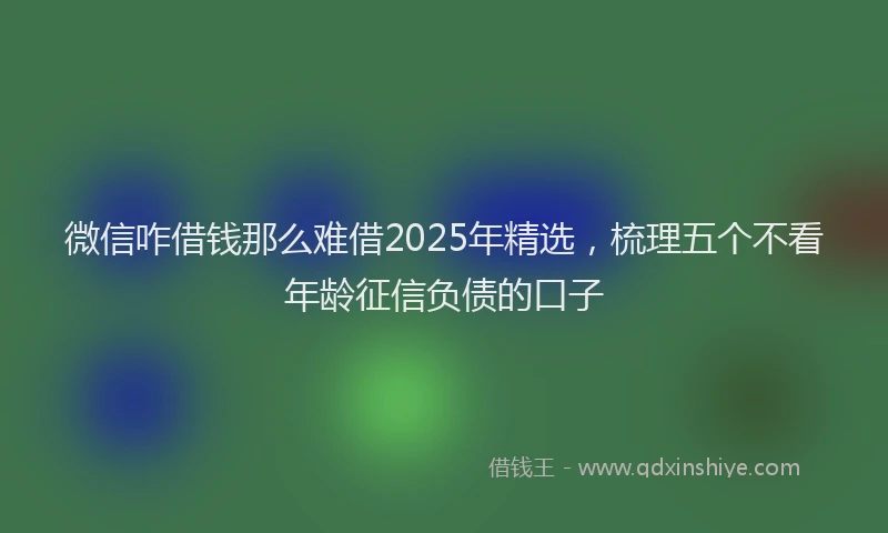 微信咋借钱那么难借2025年精选，梳理五个不看年龄征信负债的口子