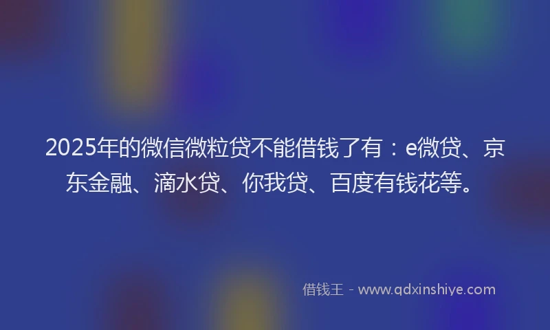 2025年的微信微粒贷不能借钱了有：e微贷、京东金融、滴水贷、你我贷、百度有钱花等。