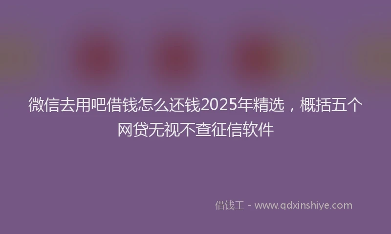 微信去用吧借钱怎么还钱2025年精选，概括五个网贷无视不查征信软件