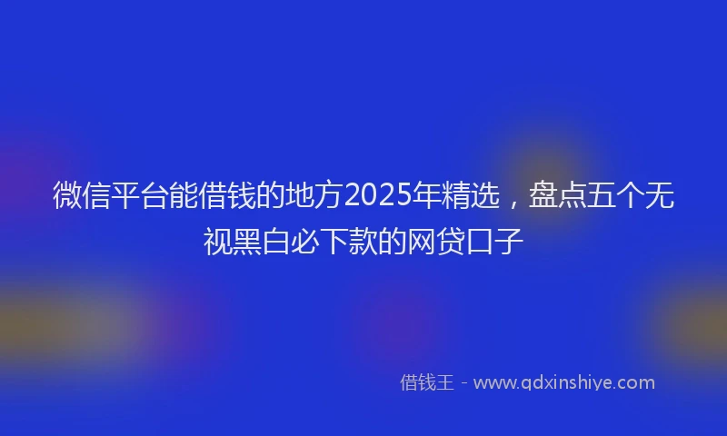 微信平台能借钱的地方2025年精选，盘点五个无视黑白必下款的网贷口子