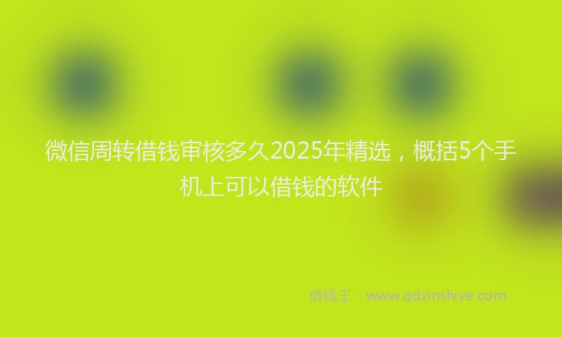 微信周转借钱审核多久2025年精选，概括5个手机上可以借钱的软件