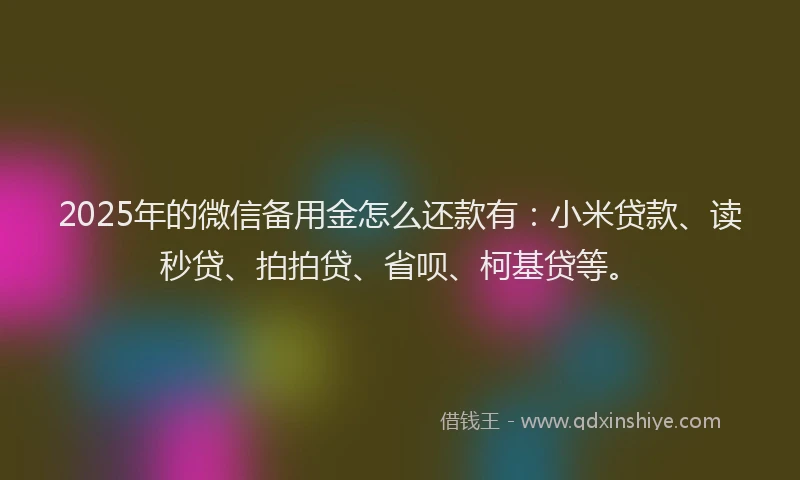 2025年的微信备用金怎么还款有：小米贷款、读秒贷、拍拍贷、省呗、柯基贷等。
