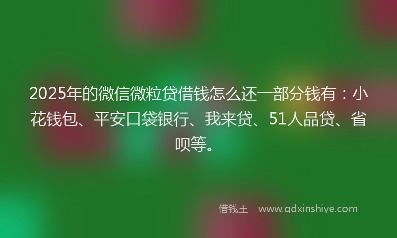 2025年的微信微粒贷借钱怎么还一部分钱有：小花钱包、平安口袋银行、我来贷、51人品贷、省呗等。