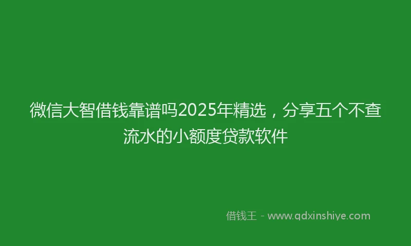 微信大智借钱靠谱吗2025年精选，分享五个不查流水的小额度贷款软件