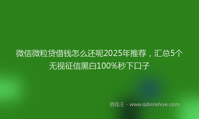 微信微粒贷借钱怎么还呢2025年推荐，汇总5个无视征信黑白100%秒下口子
