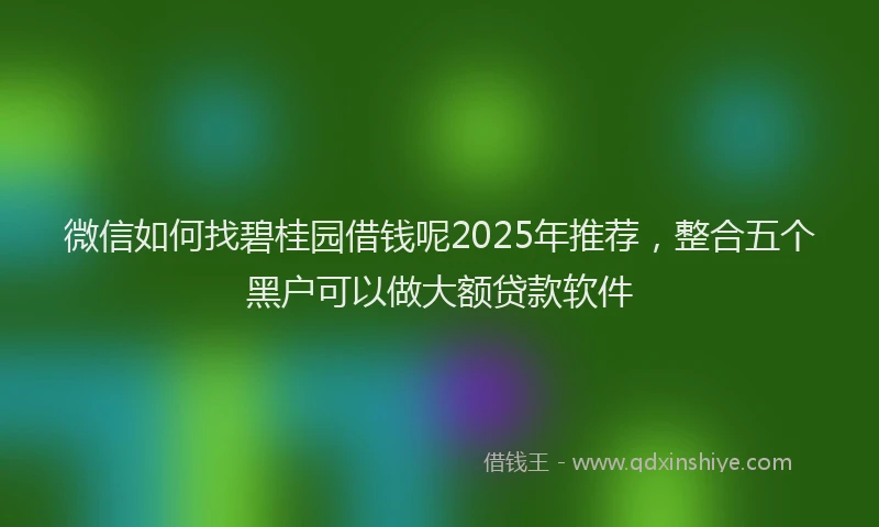 微信如何找碧桂园借钱呢2025年推荐，整合五个黑户可以做大额贷款软件