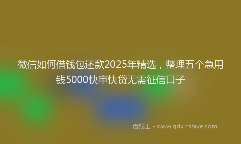 微信如何借钱包还款2025年精选，整理五个急用钱5000快审快贷无需征信口子
