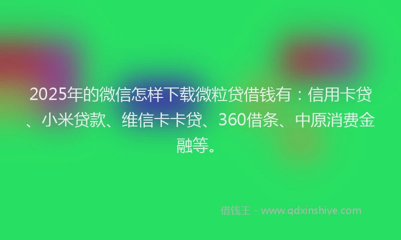 2025年的微信怎样下载微粒贷借钱有：信用卡贷、小米贷款、维信卡卡贷、360借条、中原消费金融等。
