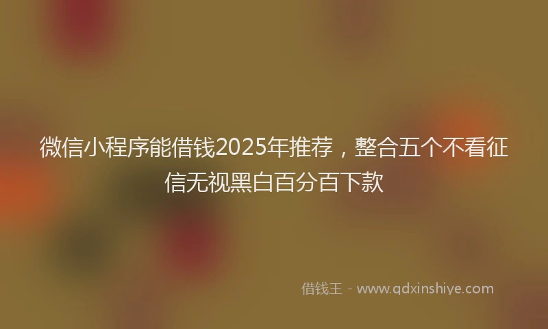 微信小程序能借钱2025年推荐，整合五个不看征信无视黑白百分百下款