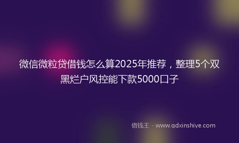 微信微粒贷借钱怎么算2025年推荐，整理5个双黑烂户风控能下款5000口子
