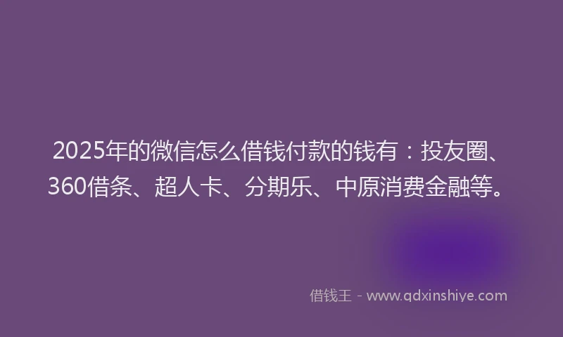 2025年的微信怎么借钱付款的钱有：投友圈、360借条、超人卡、分期乐、中原消费金融等。