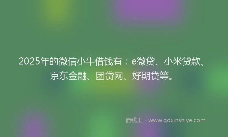 2025年的微信小牛借钱有：e微贷、小米贷款、京东金融、团贷网、好期贷等。