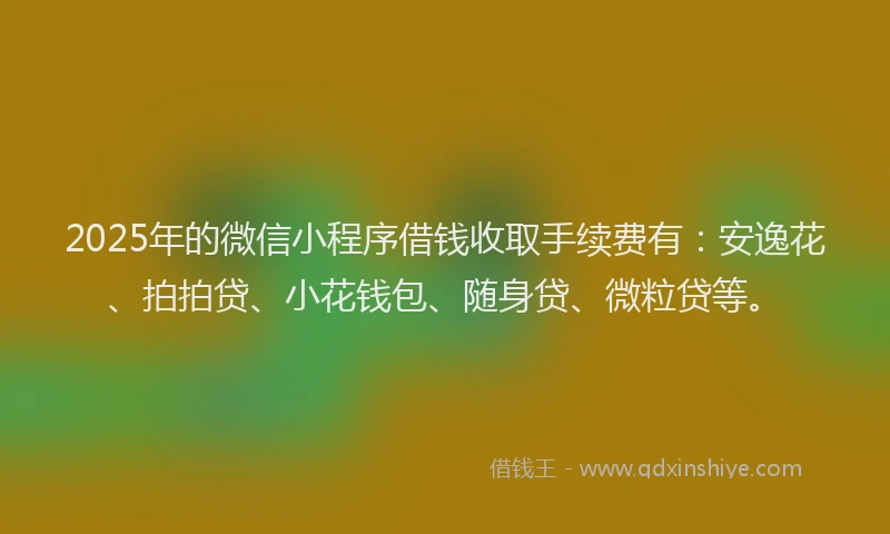 2025年的微信小程序借钱收取手续费有：安逸花、拍拍贷、小花钱包、随身贷、微粒贷等。