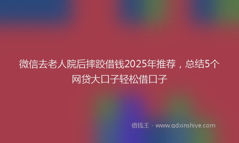 微信去老人院后摔跤借钱2025年推荐，总结5个网贷大口子轻松借口子