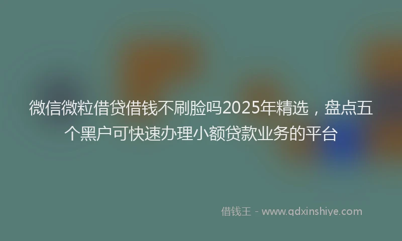 微信微粒借贷借钱不刷脸吗2025年精选，盘点五个黑户可快速办理小额贷款业务的平台