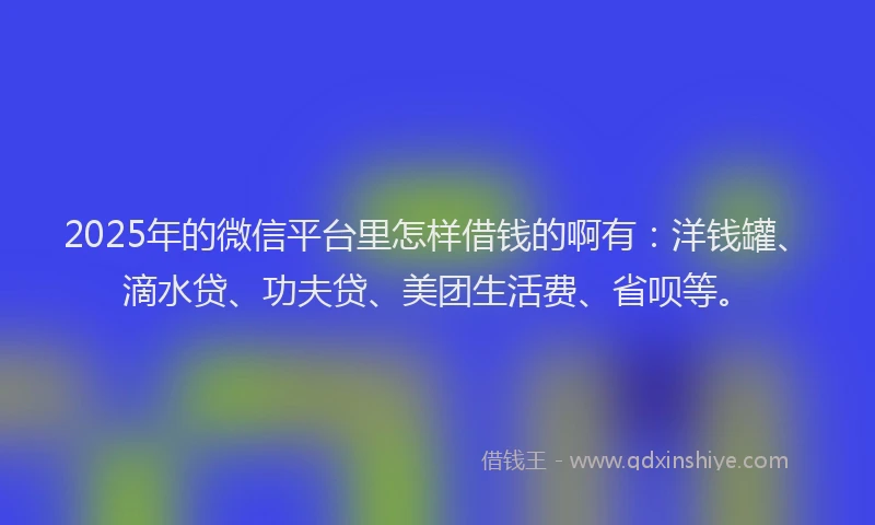 2025年的微信平台里怎样借钱的啊有：洋钱罐、滴水贷、功夫贷、美团生活费、省呗等。