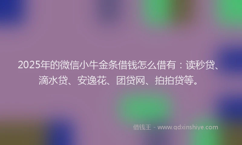 2025年的微信小牛金条借钱怎么借有：读秒贷、滴水贷、安逸花、团贷网、拍拍贷等。