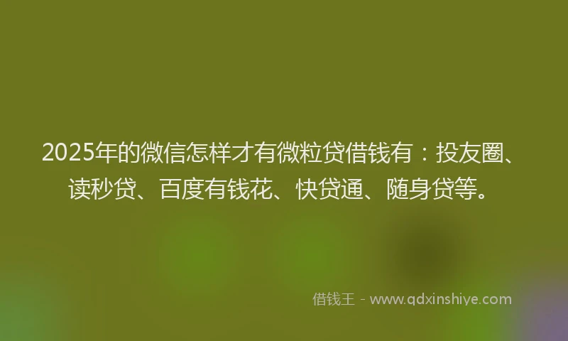 2025年的微信怎样才有微粒贷借钱有：投友圈、读秒贷、百度有钱花、快贷通、随身贷等。