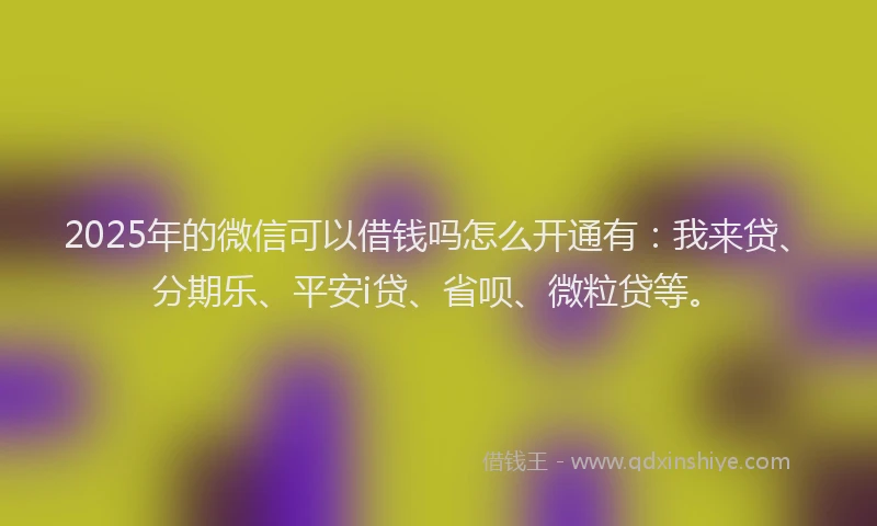 2025年的微信可以借钱吗怎么开通有：我来贷、分期乐、平安i贷、省呗、微粒贷等。