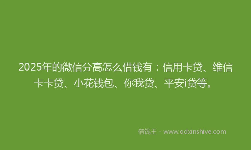 2025年的微信分高怎么借钱有：信用卡贷、维信卡卡贷、小花钱包、你我贷、平安i贷等。