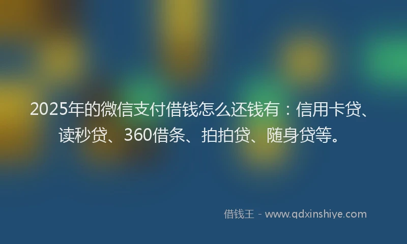 2025年的微信支付借钱怎么还钱有：信用卡贷、读秒贷、360借条、拍拍贷、随身贷等。