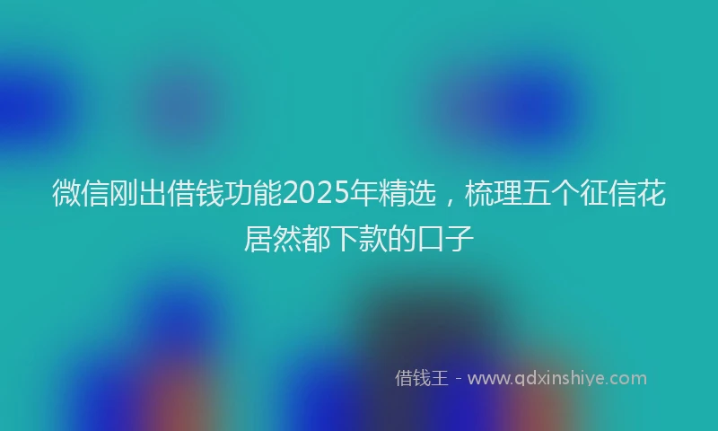 微信刚出借钱功能2025年精选，梳理五个征信花居然都下款的口子