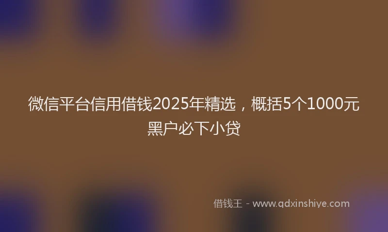 微信平台信用借钱2025年精选，概括5个1000元黑户必下小贷