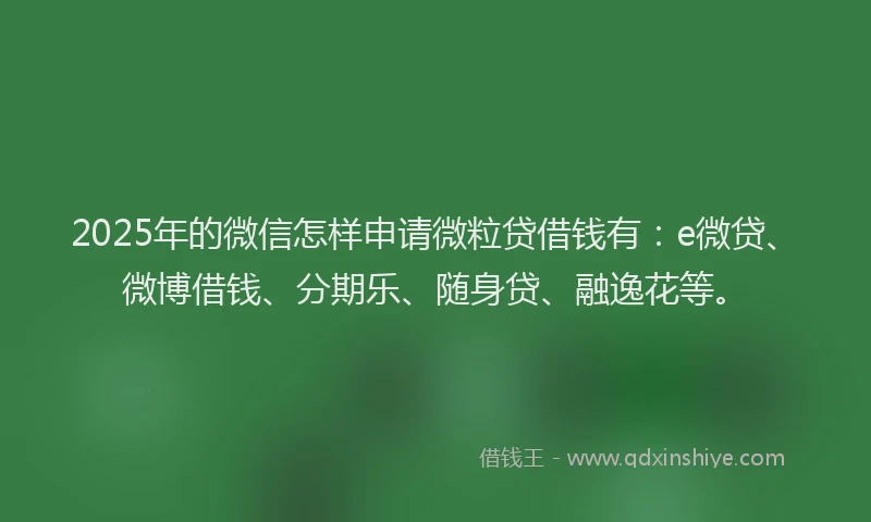 2025年的微信怎样申请微粒贷借钱有：e微贷、微博借钱、分期乐、随身贷、融逸花等。